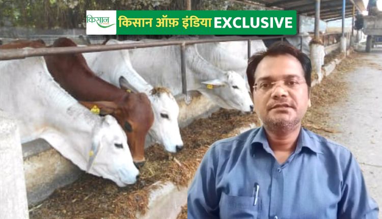 Dairy Farming: दुधारू पशु करें अधिक दूध उत्पादन