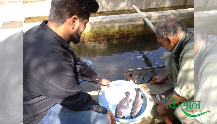 ट्राउट मछली पालन trout fish farming