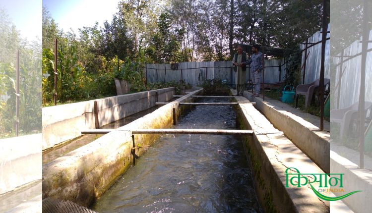 ट्राउट मछली पालन trout fish farming