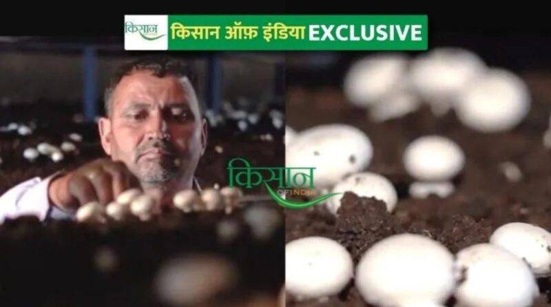 मशरूम की खेती mushroom farmi