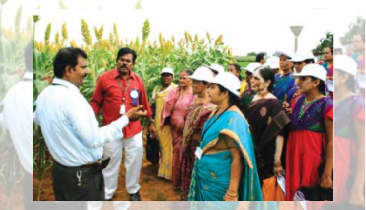 मोटे अनाज की खेती (Millet Farming): जानिए कैसे ‘मिलेट मैन’ वीर शेट्टी ने रोज़गार से लेकर बाज़ार की व्यवस्था पर किया काम