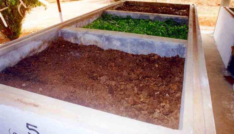 Scientific Technique In Farming: खेती में किया वैज्ञानिक पद्धति का इस्तेमाल, ज़ीरो से 4 लाख तक पहुंची आमदनी