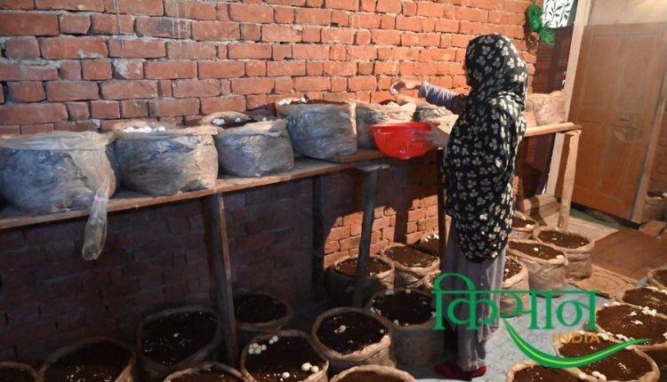 मशरूम किसान Mushroom Farming