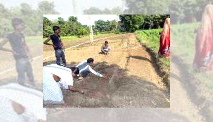 फूलगोभी की खेती cauliflower cultivation