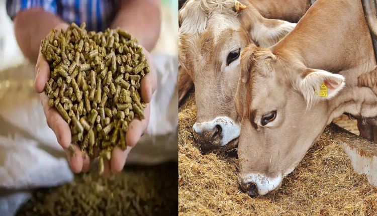 हरित धरा Milk Production: दूध उत्पादन