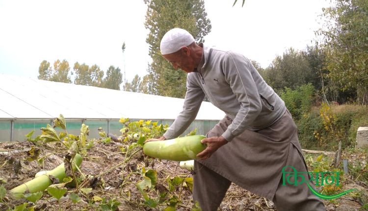 विदेशी सब्जियां exotic vegetables