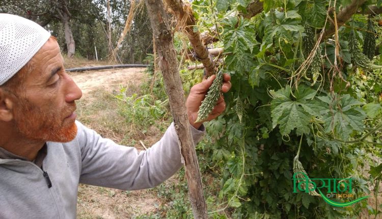 विदेशी सब्जियां exotic vegetables