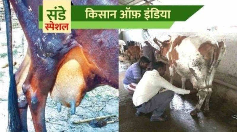 थनैला