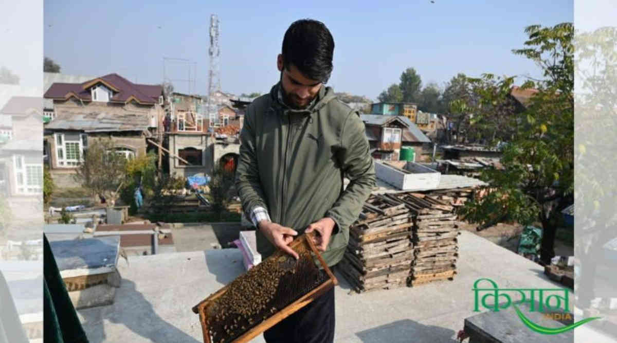 Beekeeping Business मधुमक्खी पालन 7