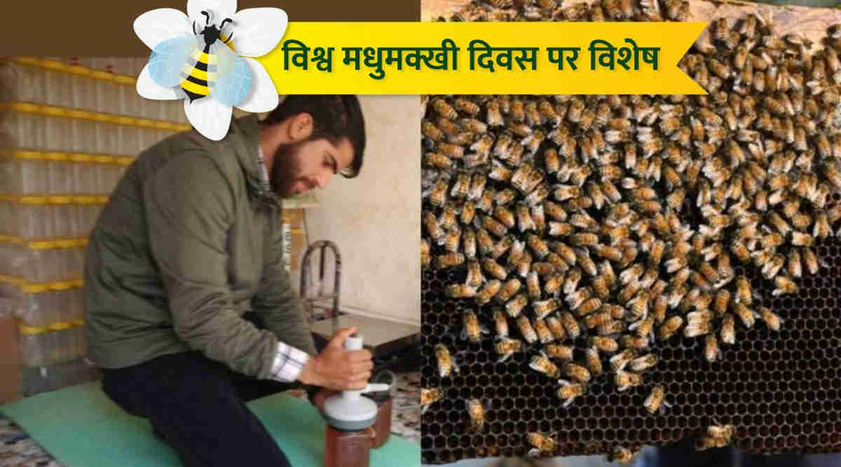 Beekeeping Business मधुमक्खी पालन