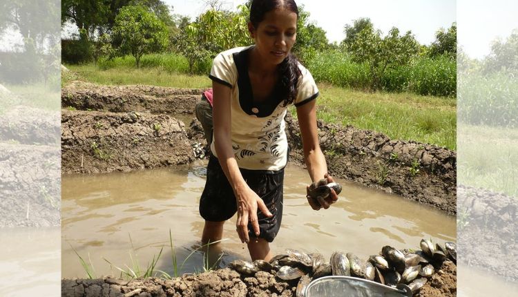 मोती पालन 25 साल से Organic Pearl Farming