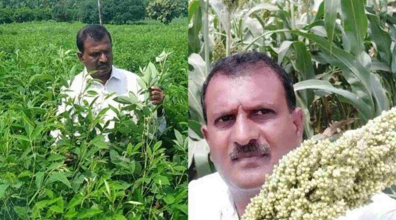 मोटे अनाज की खेती (Millet Farming)