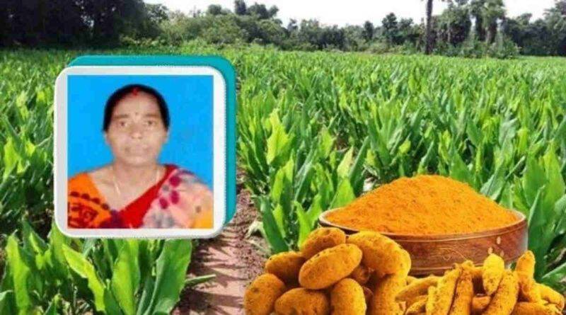 हल्दी की खेती turmeric farming