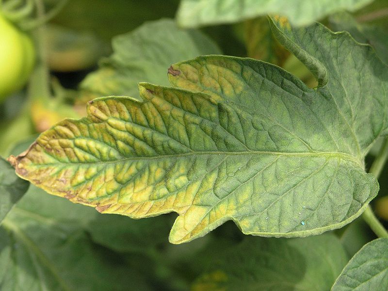 Soil Nutrients