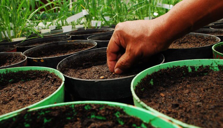 Soil properties: अच्छी होगी मिट्टी की सेहत तो फसल उत्पादन बेहतर, कैसे पोषक तत्वों का खज़ाना बनती है मिट्टी?