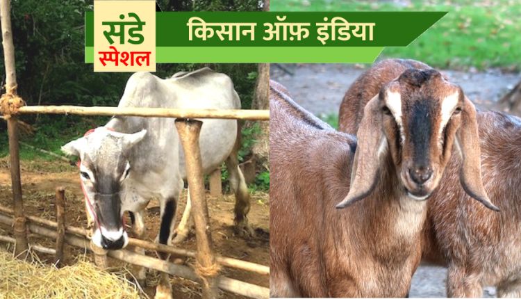 जैविक पशुपालन organic animal husbandry