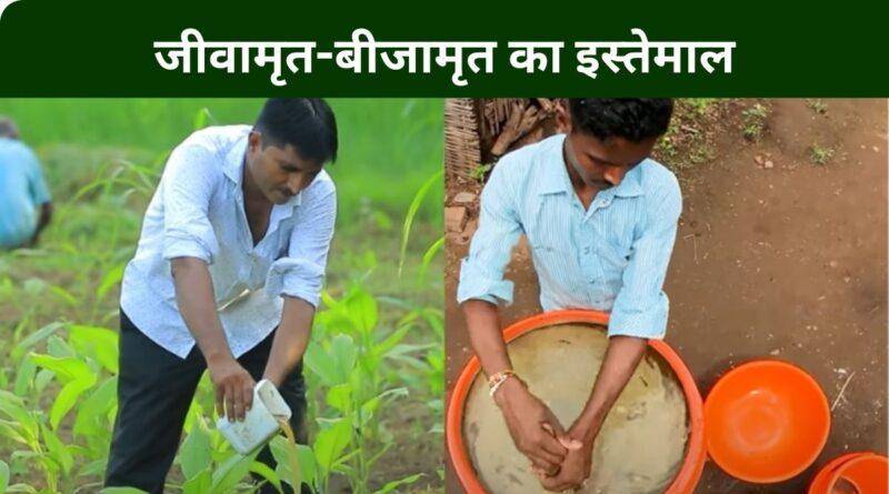 Zero budget natural farming प्राकृतिक खेती