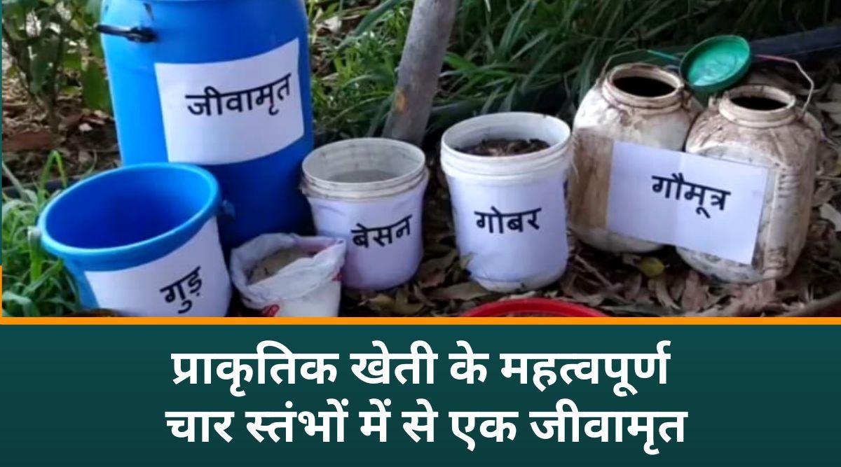 प्राकृतिक खेती 3