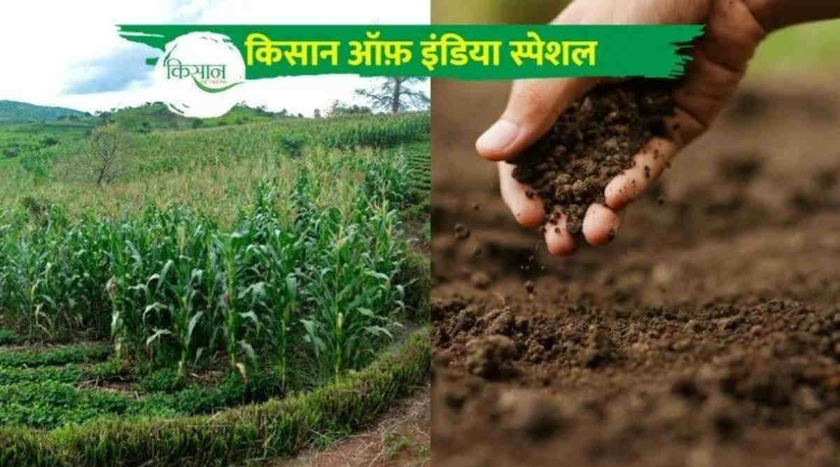 मिट्टी की सेहत soil health