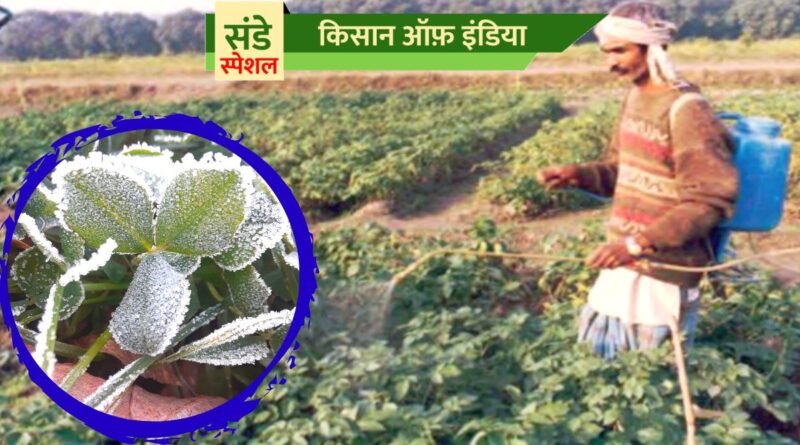 Frost management फसलों पर पाला