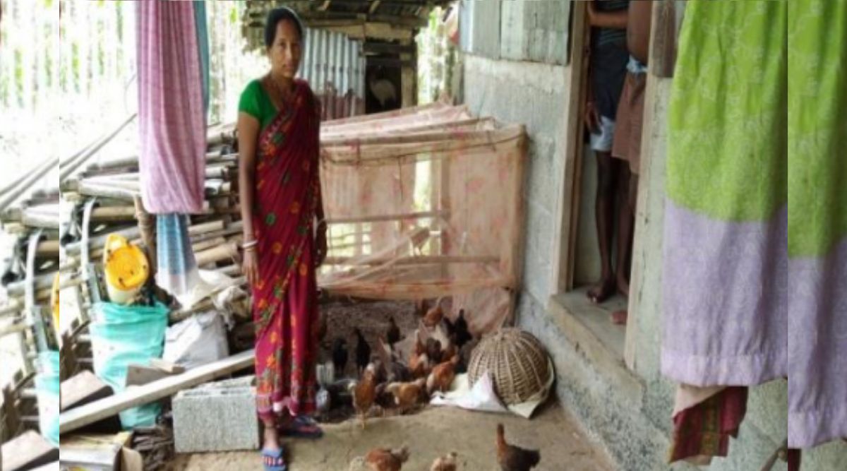 मुर्गी पालन poultry farming