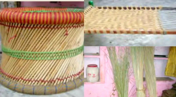 मुंजा घास munja grass