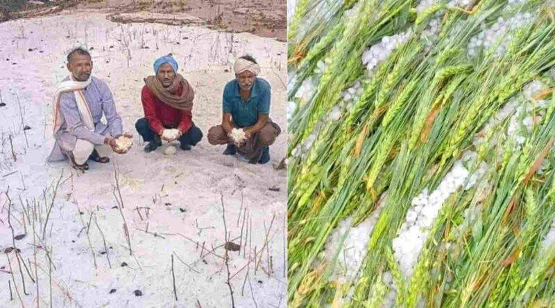 ओलावृष्टि hailstorm in madhya pradesh