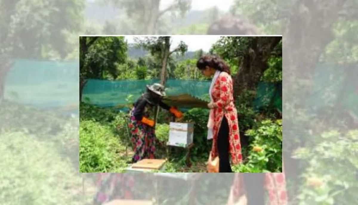 Nutri Garden - न्यूट्री गार्डन Nutri Garden