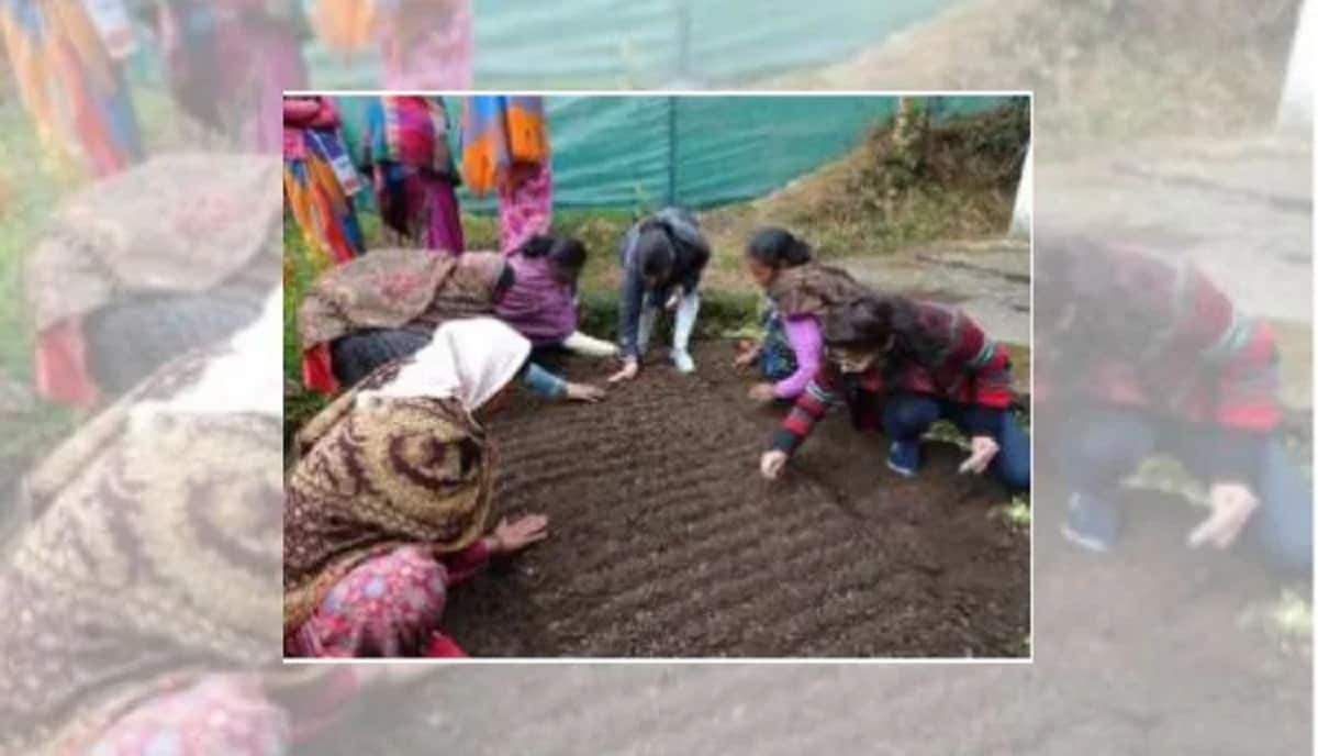 Nutri Garden - न्यूट्री गार्डन Nutri Garden - न्यूट्री गार्डन