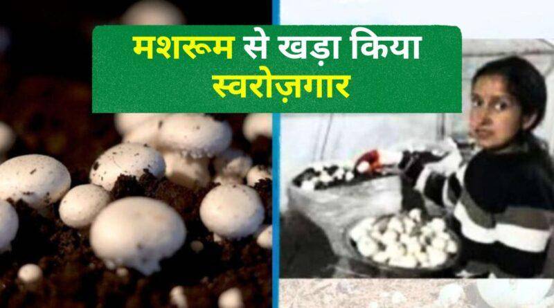 मशरूम की खेती pithoragarh farmer mushroom farming