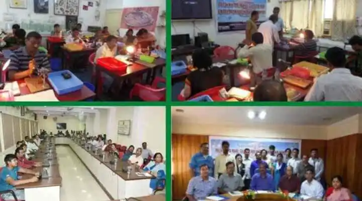Pearl Farming Training Guide: कैसे करें मोती की खेती? कहां से लें मुफ़्त ट्रेनिंग