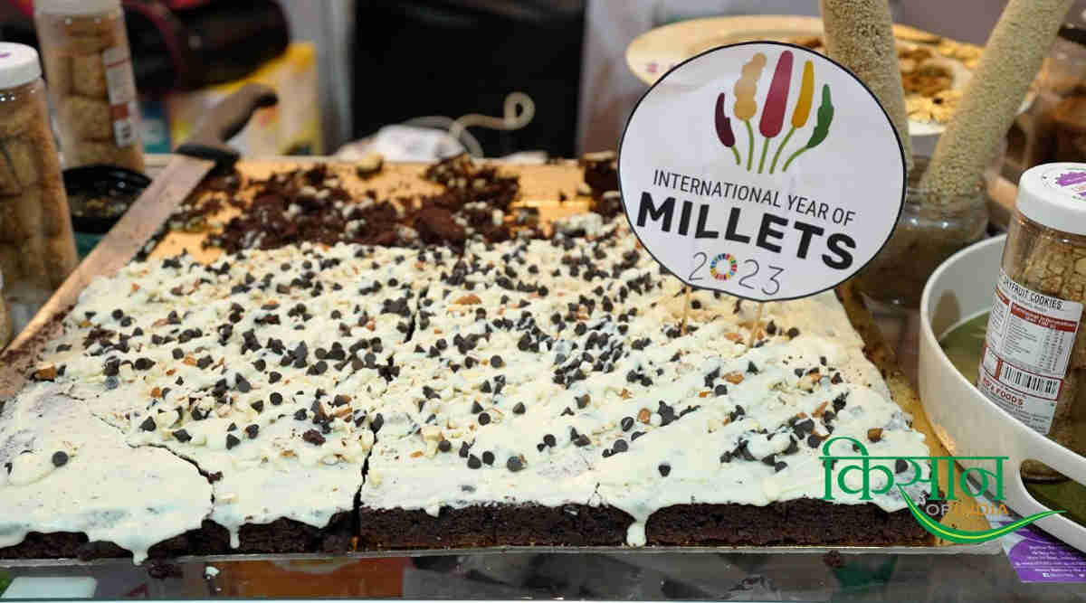 Millets Products मिलेट्स उत्पाद