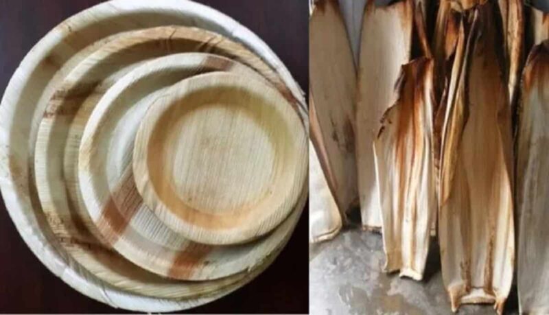 सुपारी के पत्तों से बनी प्लेट betel leaf plates