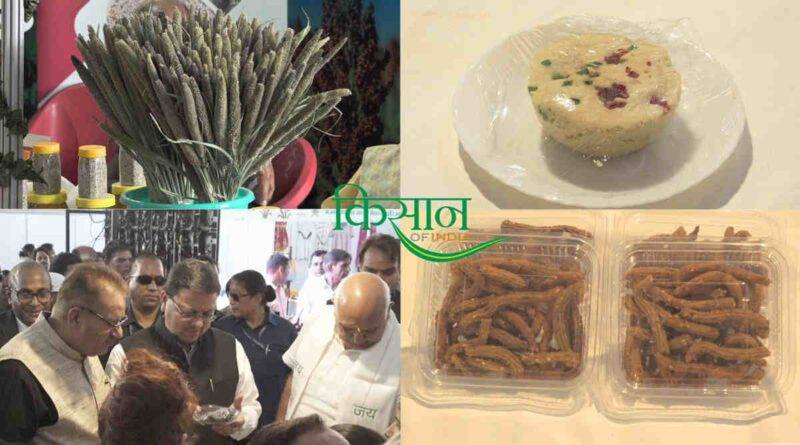 मिलेट्स की खेती (Millets) उत्तराखंड 'श्री अन्न' महोत्सव 6