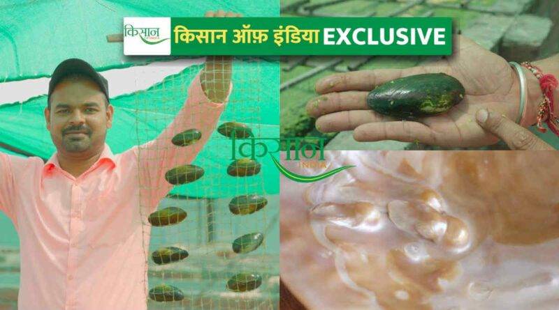 मोती की खेती Pearl Farming