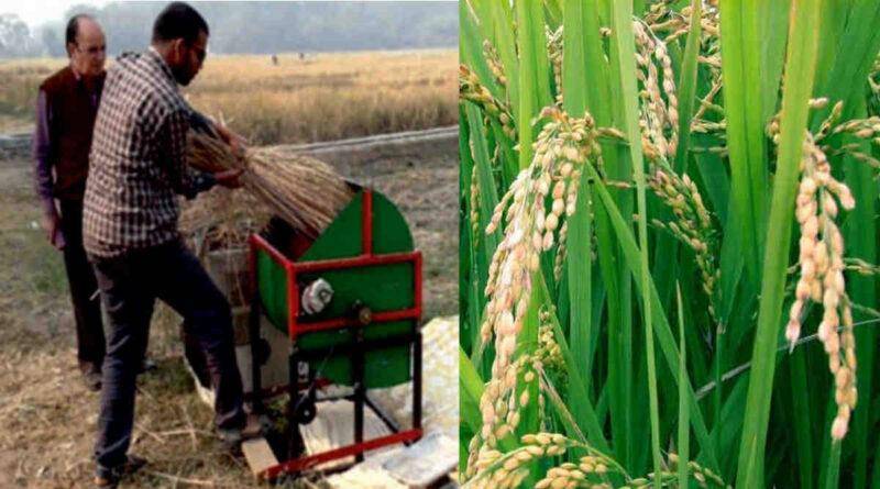 धान थ्रेसिंग मशीन Paddy Threshing Machine