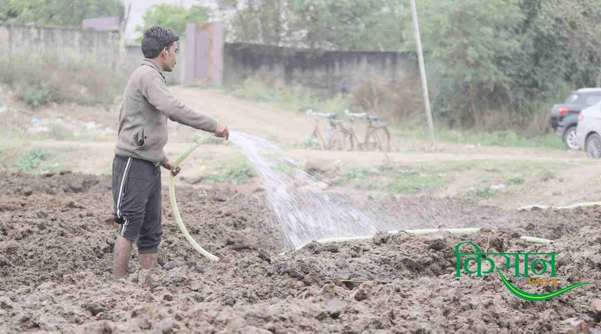 वर्मीकम्पोस्ट व्यवसाय vermicompost business6