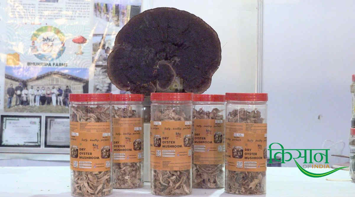 एग्री-स्टार्टअप Bhukripa Farms Product एग्री-स्टार्टअप bhukripa agri business