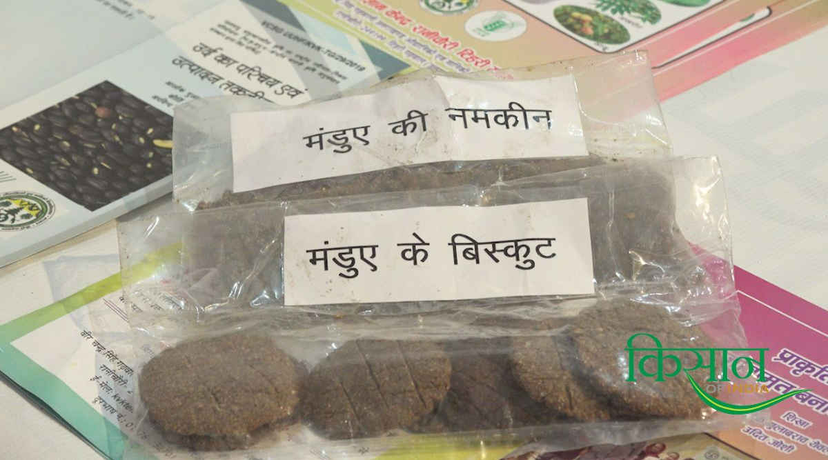 Millets Products मिलेट्स प्रॉडक्ट्स 3