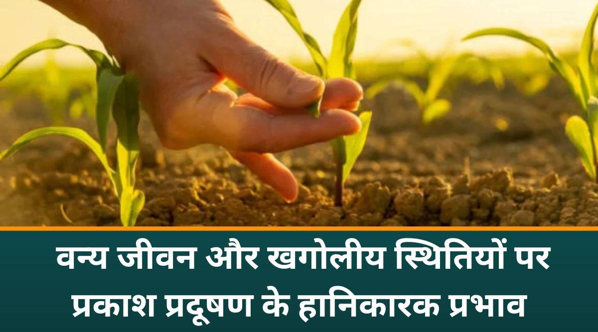 प्रकाश प्रदूषण 2