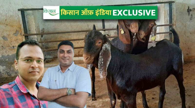 बकरी पालन (Goat Farming)