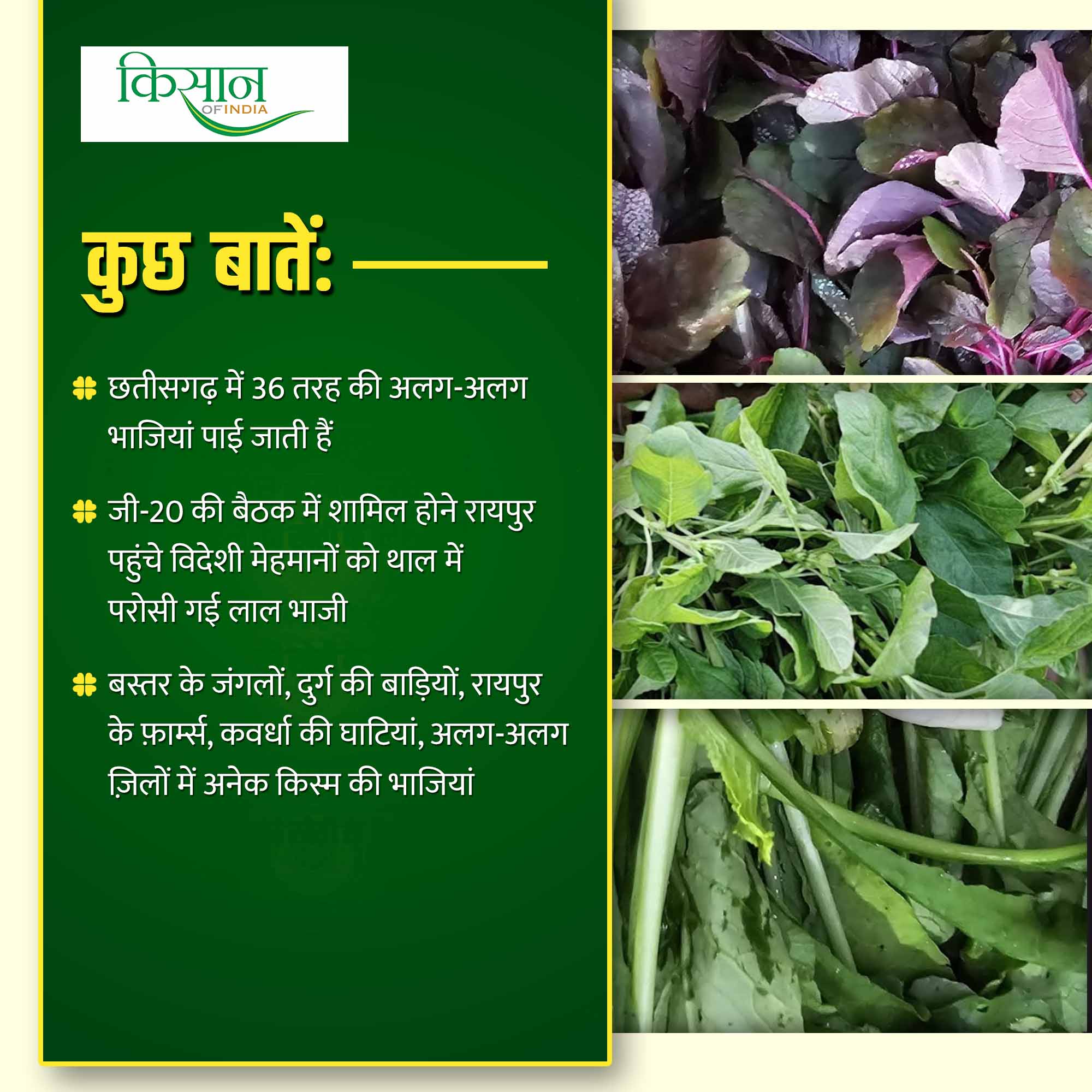 सब्जियों की खेती Chhattisgarh vegetables