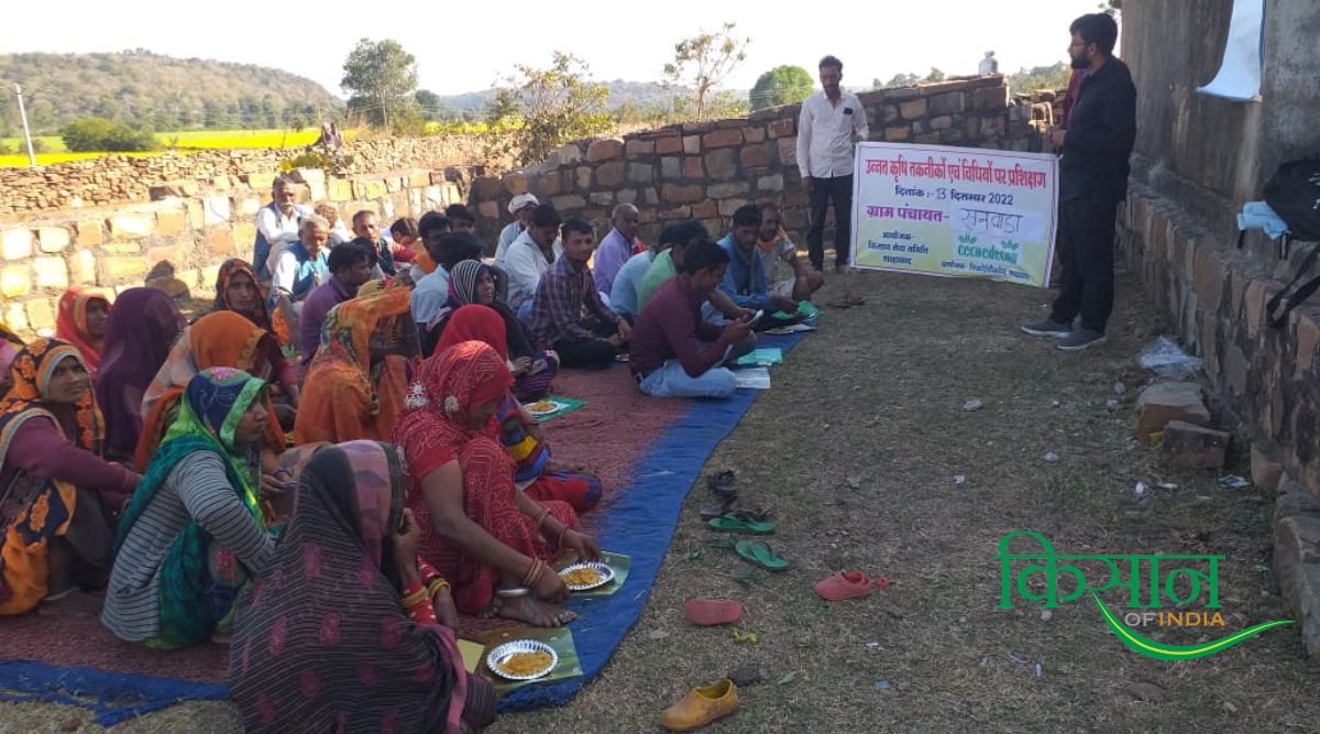 पौध नर्सरी व्यवसाय शुरू करने के लिए अनिल ने छोड़ी नौकरी, आज किसानों को देते हैं ट्रेनिंग नर्सरी बिज़नेस