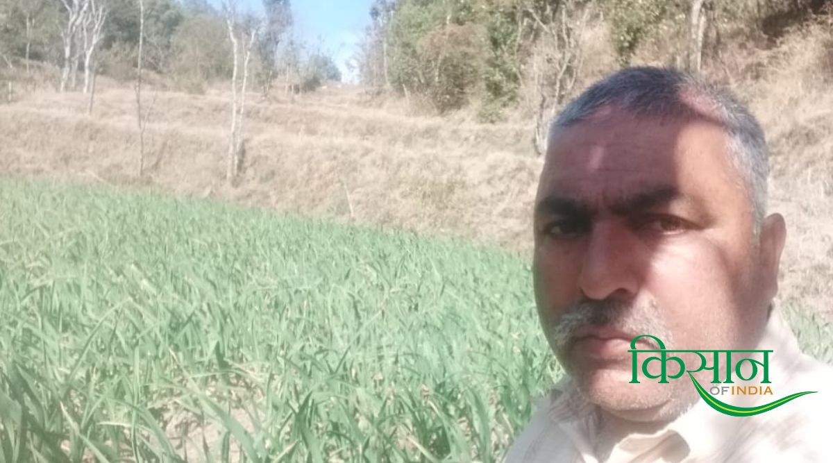 Garlic Farmer Ganesh Dutt, From Sirmaur district of Himachal Pradesh (Photo: KOI) लहसुन की खेती