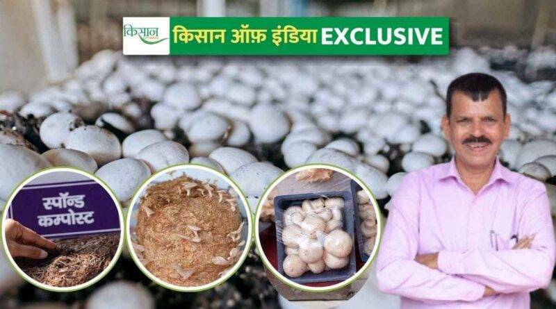 मशरूम की खेती mushroom farming