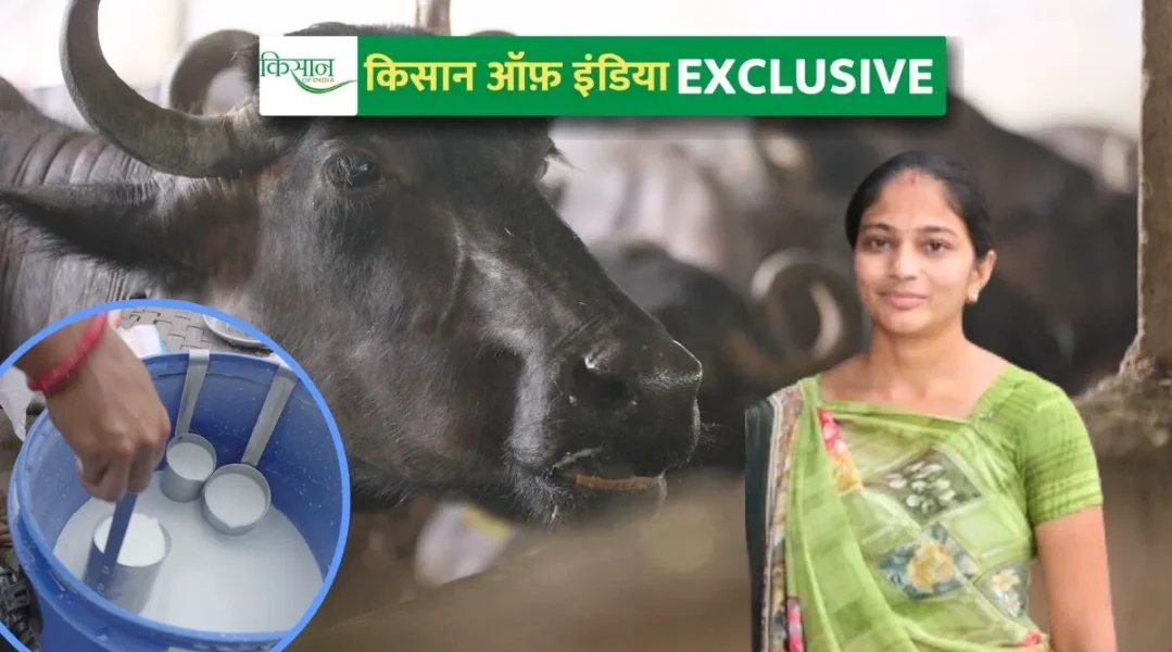 Dairy Farming Business Plan Guide डेयरी फ़ार्मिंग