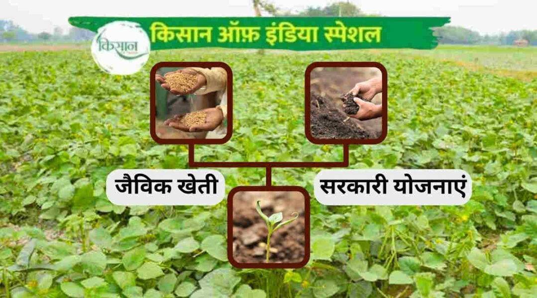 Organic Farming Schemes जैविक खेती योजनाएं