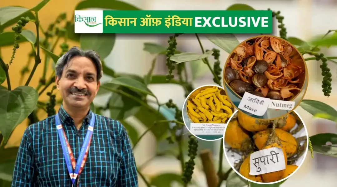 मसालों की खेती spice farming