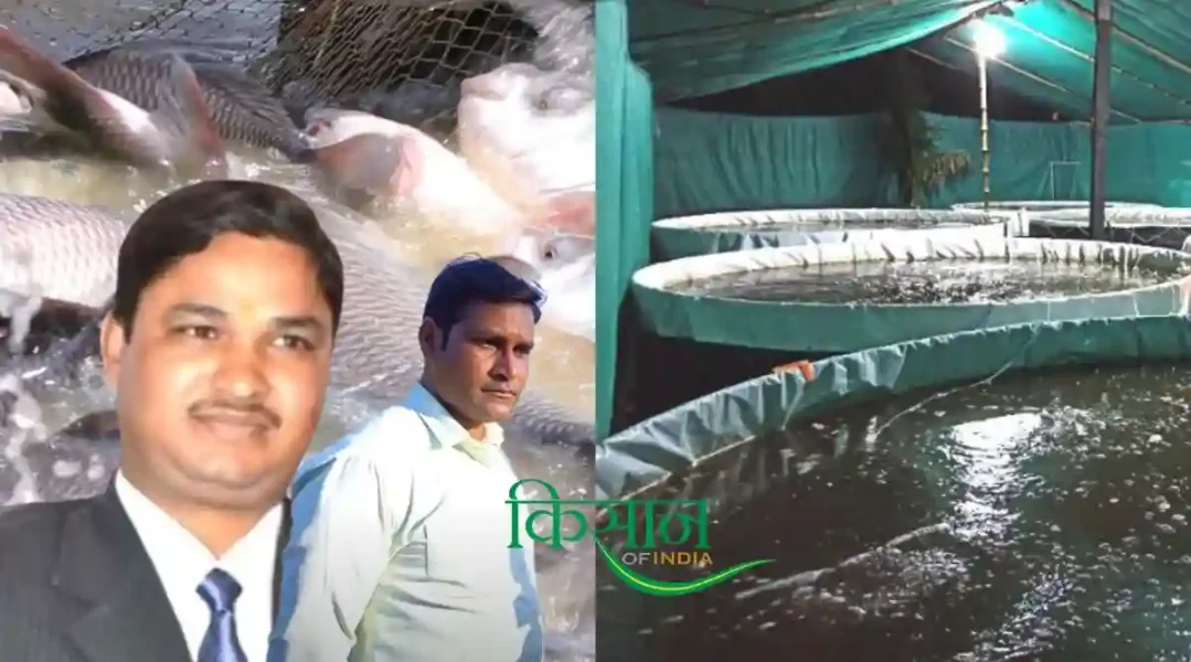 Fish Farming Business: मछली पालन व्यवसाय से जुड़ी अहम जानकारी, जानिए क्या है विशेषज्ञों और अनुभवी मछली पालकों की राय?