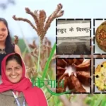 Ragi Crop: रागी की फसल से क्या-क्या तैयार किया जा सकता है? रागी की खेती से जुड़ी अहम जानकारी